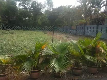 Sungai Buloh, Shah Alam