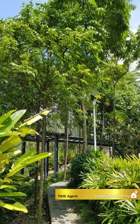 Scenaria — photo 3