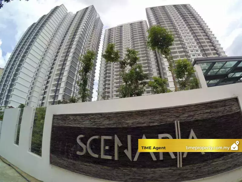 Scenaria — photo 5