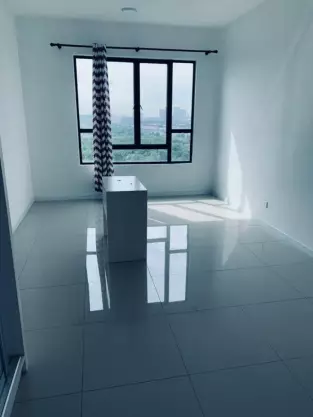 Paragon 3