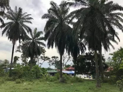 Simpang Ampat