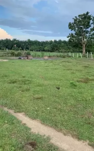 Tasek Gelugor