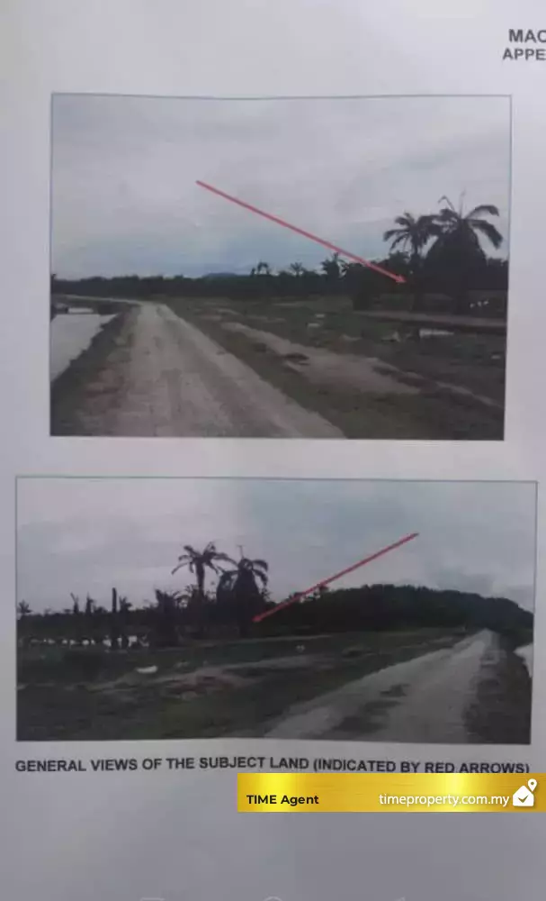 Juru — photo 3