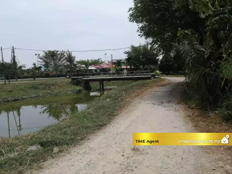 Balik Pulau — photo 2