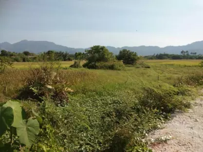 Balik Pulau