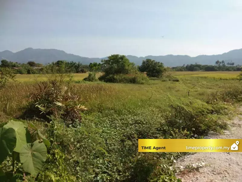 Balik Pulau — photo 1