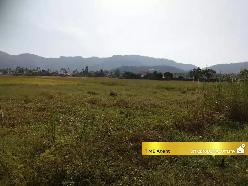Balik Pulau — photo 2