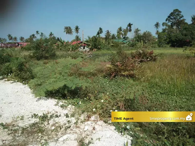 Balik Pulau — photo 3