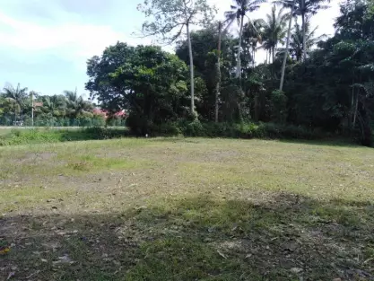 Kepala Batas