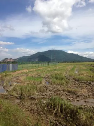 Kubang Semang