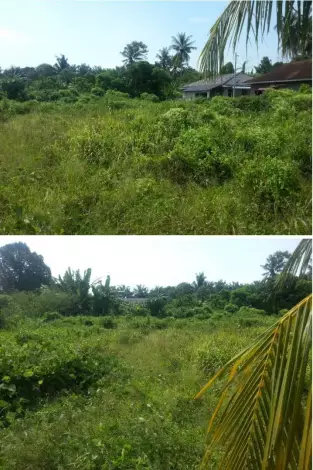 Kepala Batas