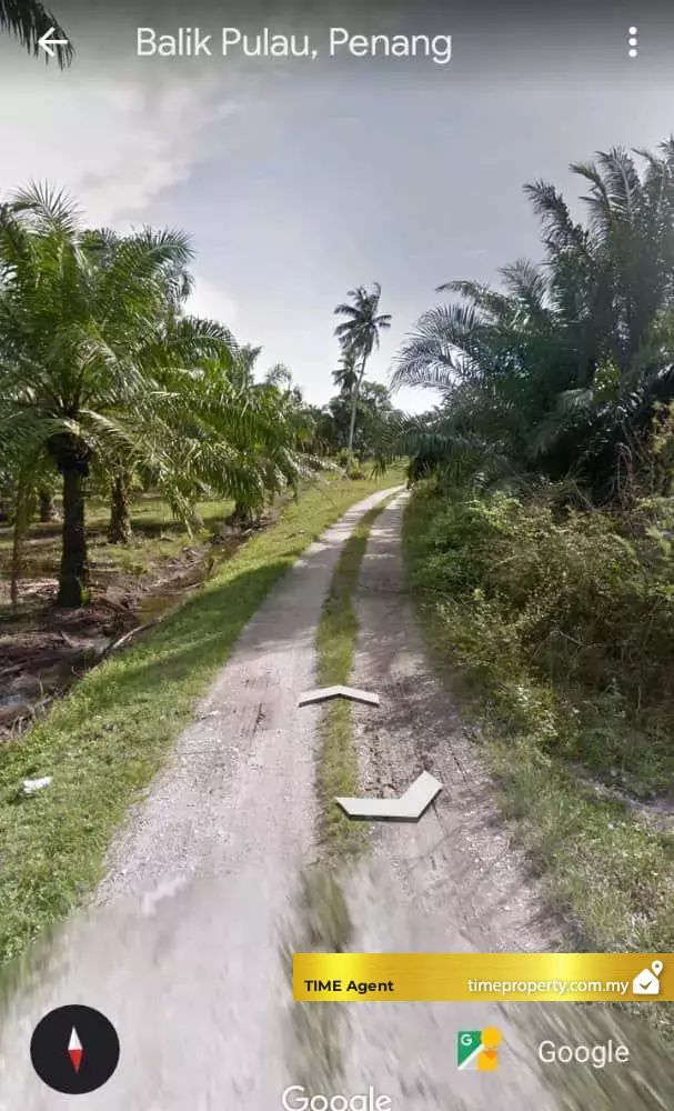 Balik Pulau — photo 2