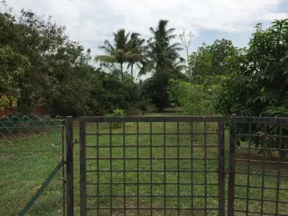 Kepala Batas