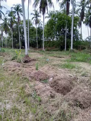 Tasek Gelugor