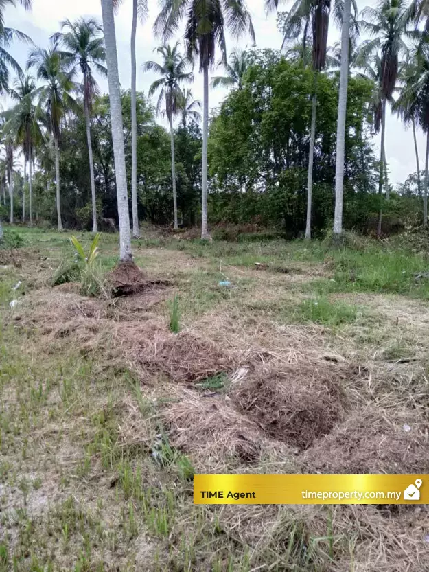 Tasek Gelugor — photo 1