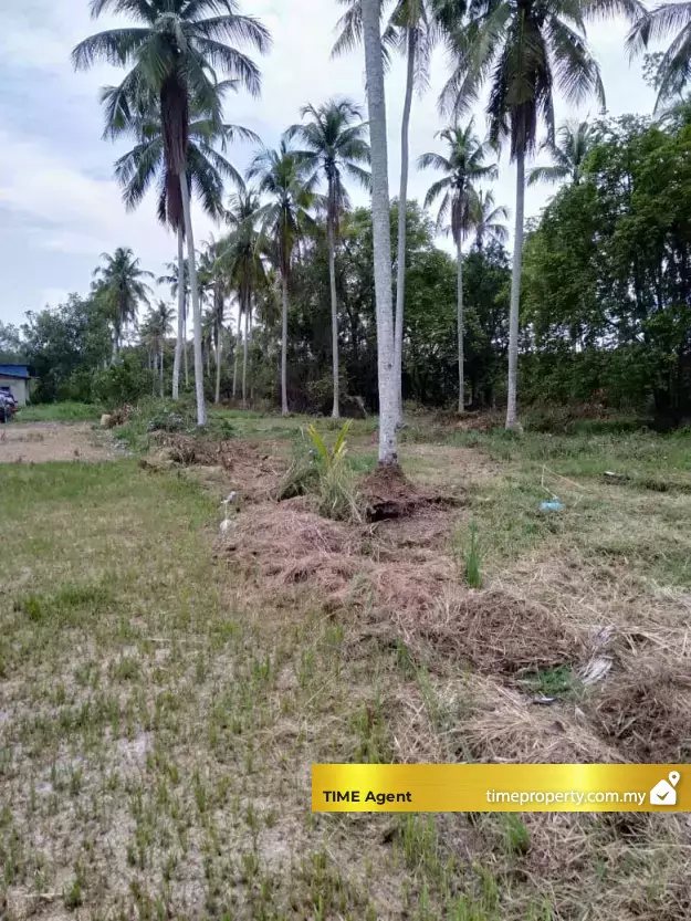 Tasek Gelugor — photo 2