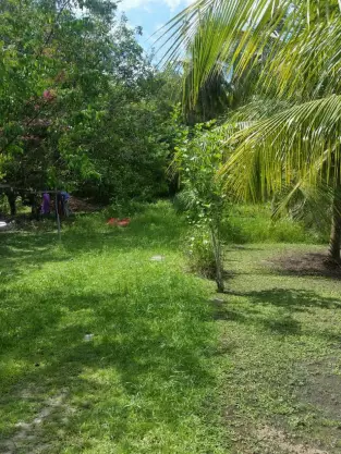 Balik Pulau