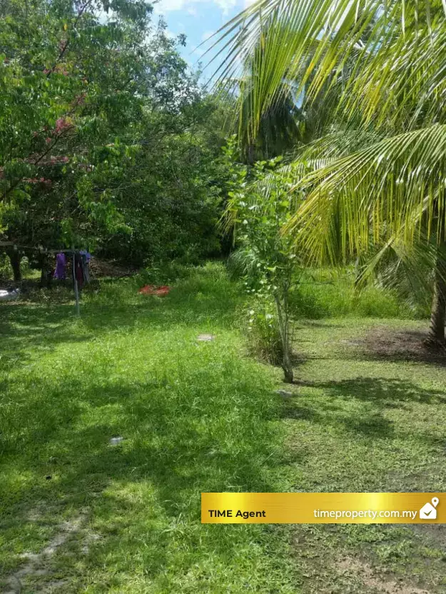 Balik Pulau — photo 1