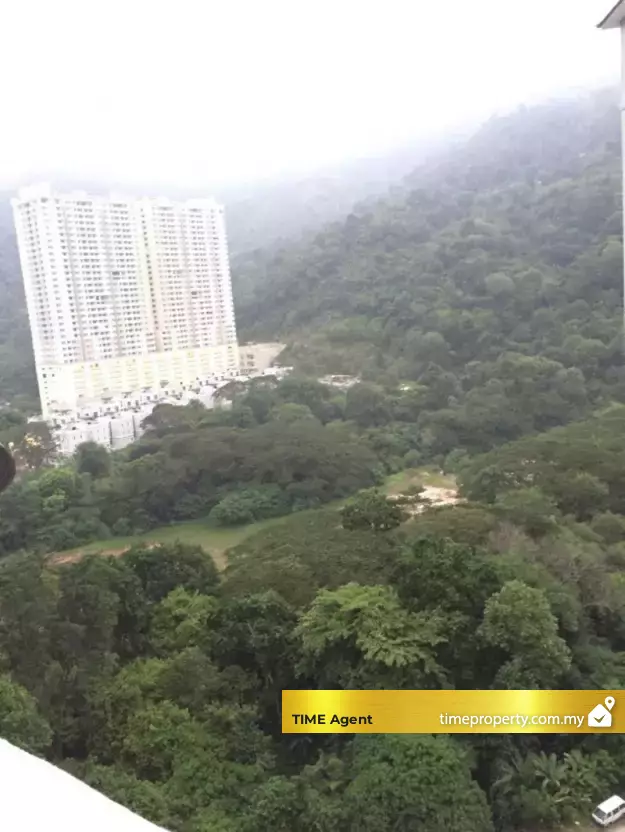 Gambier Heights @ Gambir Heights — photo 3