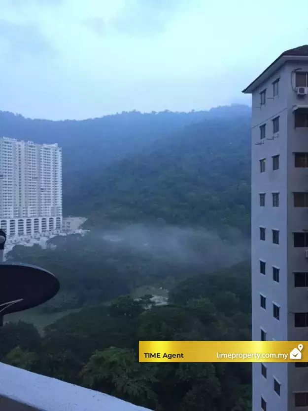 Gambier Heights @ Gambir Heights — photo 4