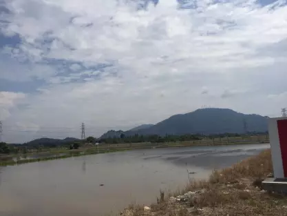 Kubang Semang
