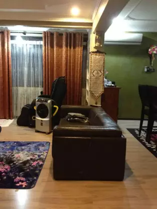Halaman Areka