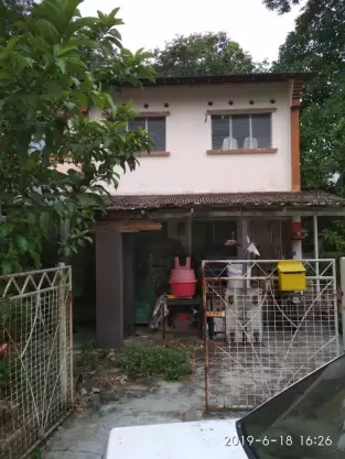Brown Garden