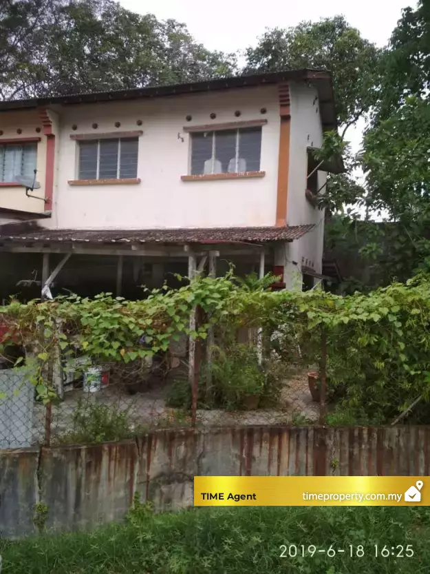Brown Garden — photo 2