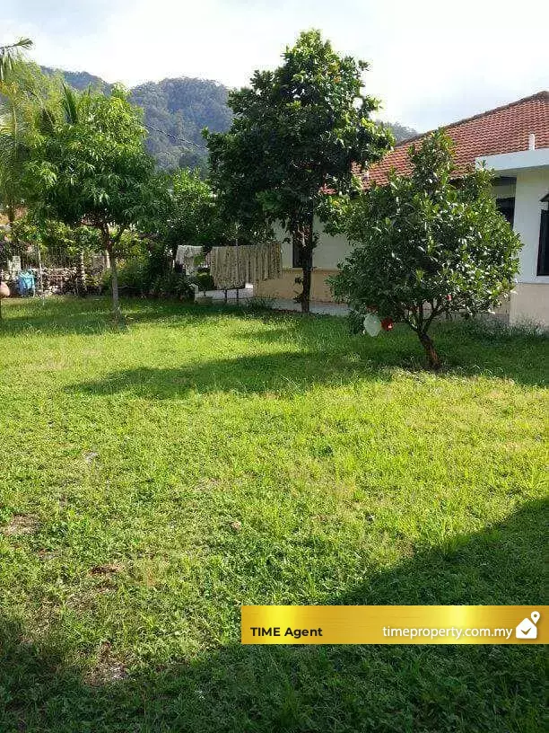 Ferringhi Park — photo 5