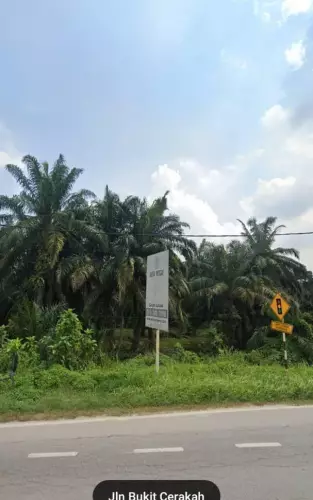 Kuala Selangor