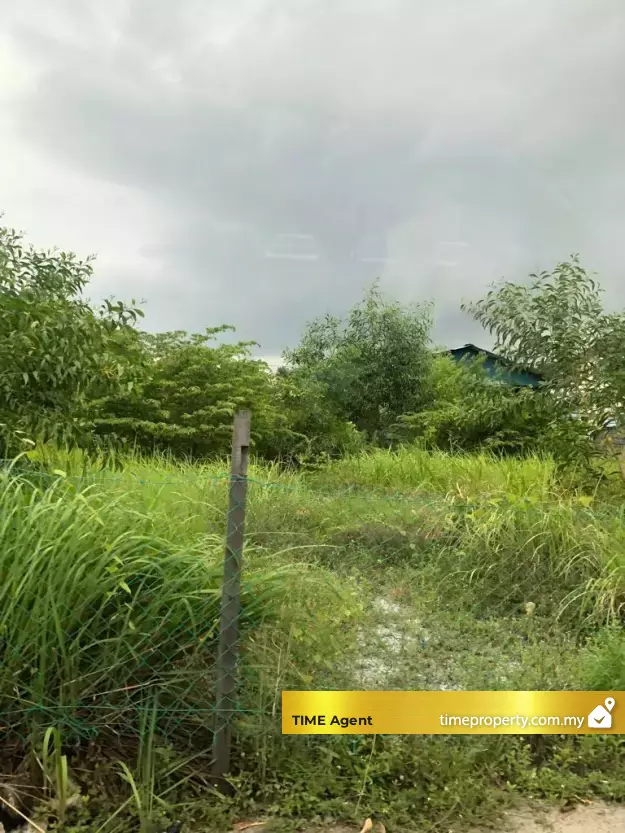 Butterworth — photo 3
