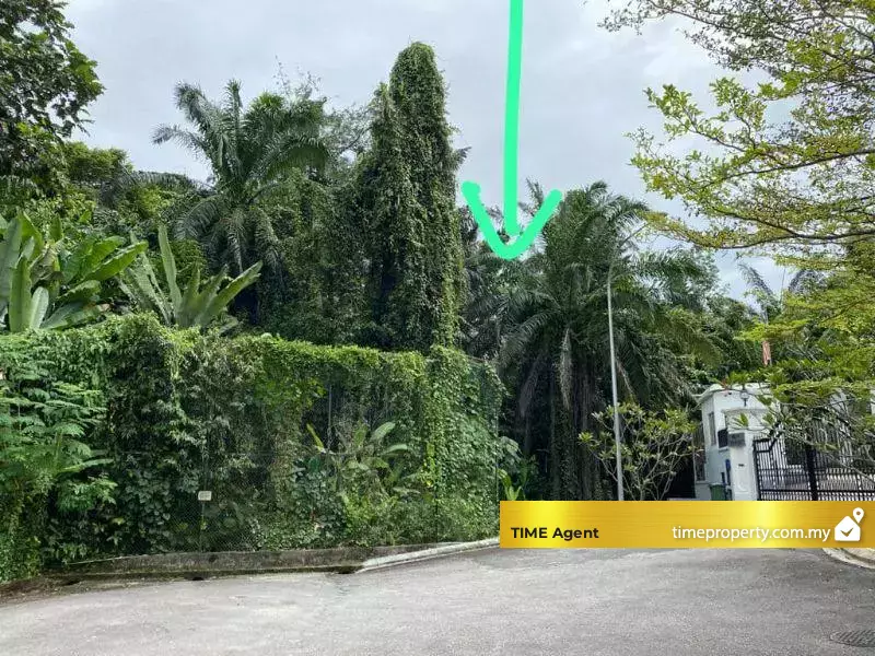 Bukit Tunku — photo 2