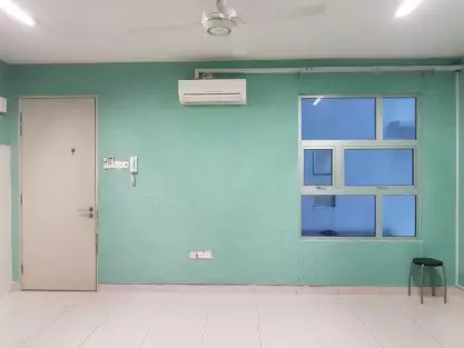The Domain