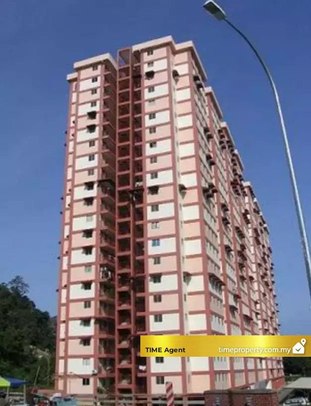 Pinang Emas — photo 5