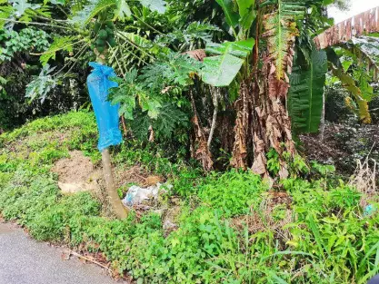 Pekan Teluk Bahang, Teluk Bahang