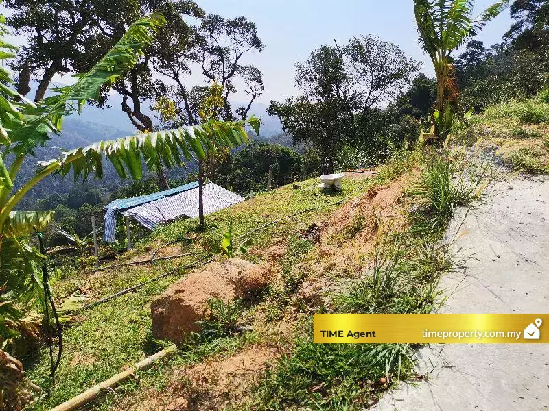 Balik Pulau — photo 2