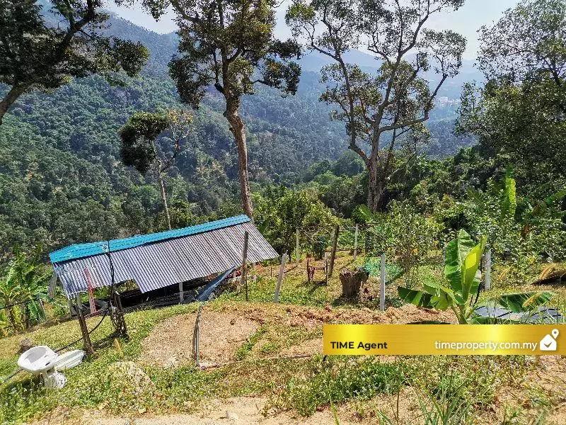 Balik Pulau — photo 4