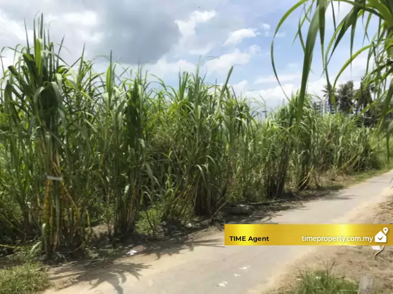 Bukit Mertajam — photo 2