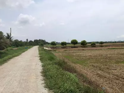Kepala Batas