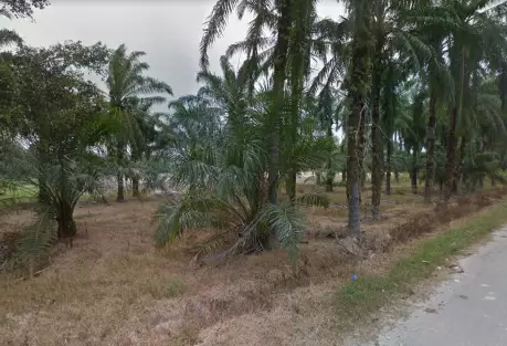 Banting, Selangor