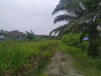 Banting, Selangor