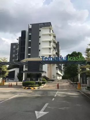 Temasya Kasih