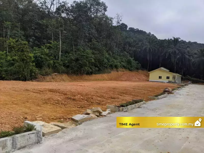Taman Awani — photo 1