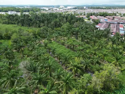 Taman Desa Bidara, Kuala Ketil, 09300, Kedah