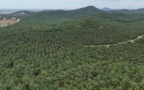 Padang Lembu Pokok Tai, Gurun, 06720, Kedah