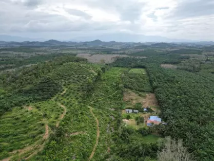 Kuala Ketil, Kuala Ketil, Kedah