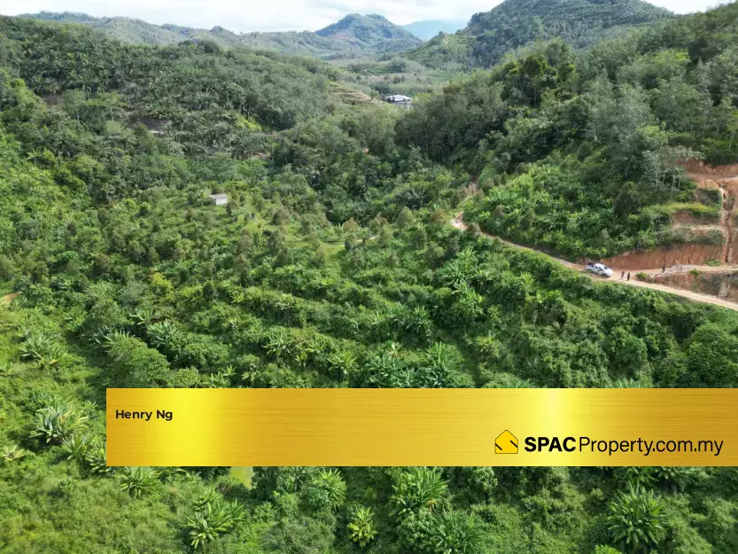 Property Photo 5