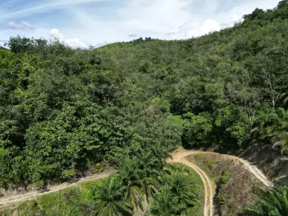 Near Kubur Cina Jalan RE, Sungai Siput, Perak
