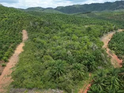 PH8C+R2 Bedong, Kedah, Malaysia, Sungai Lalang, Bedong, 08100, Kedah