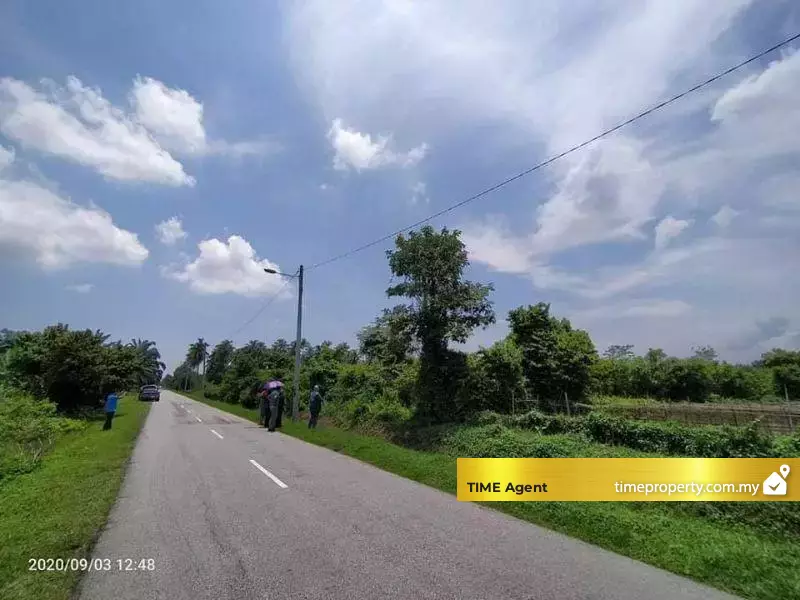 Tasek Gelugor — photo 1